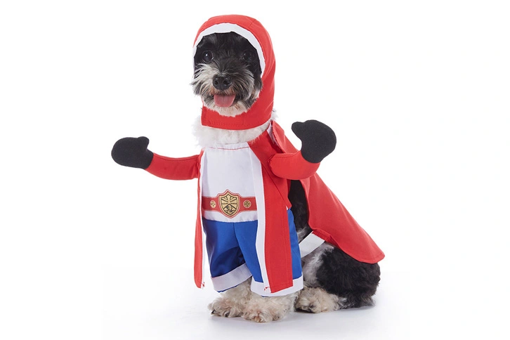 Design Pet Clothes Pet Products Pet Cosplay Costume