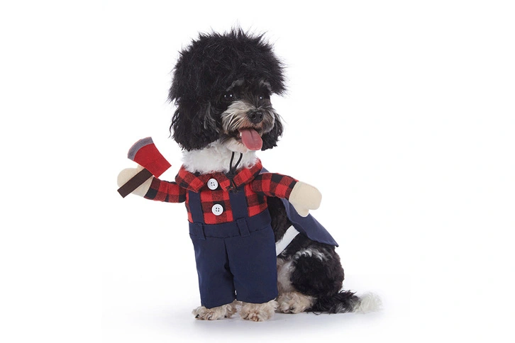 Design Pet Clothes Pet Products Pet Cosplay Costume