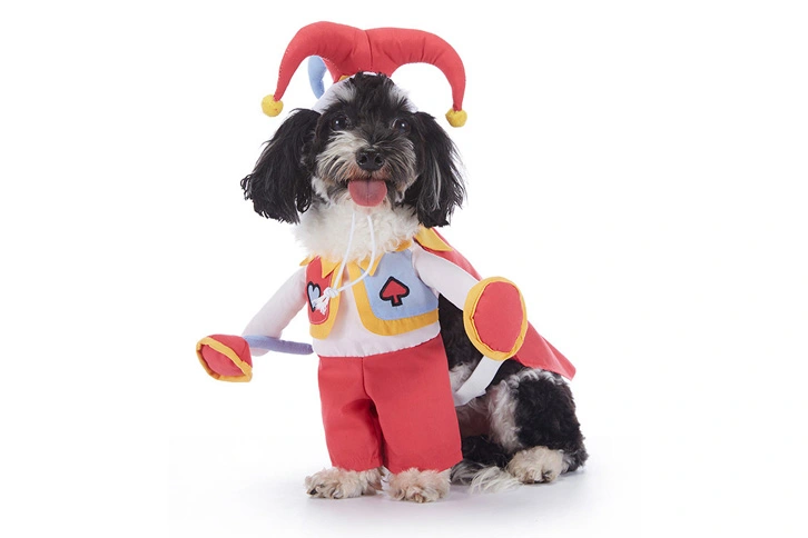 Design Pet Clothes Pet Products Pet Cosplay Costume