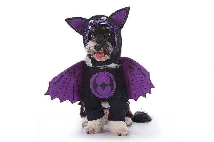 Design Pet Clothes Pet Products Pet Cosplay Costume