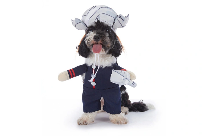 Design Pet Clothes Pet Products Pet Cosplay Costume