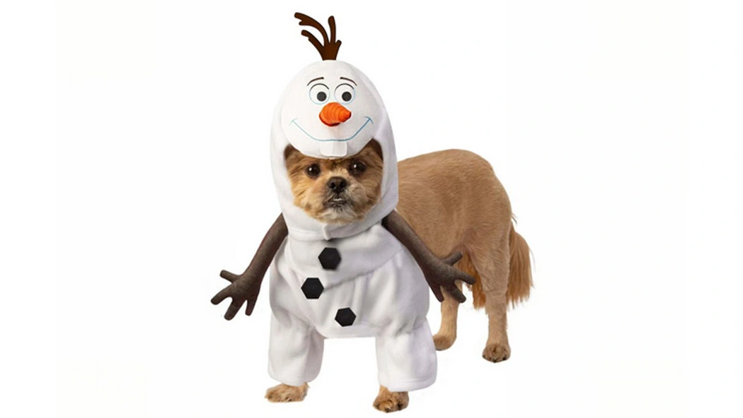Pet Costume
