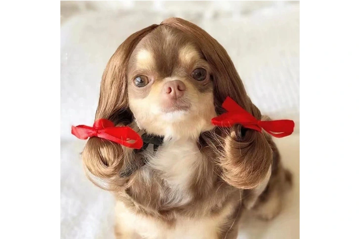 Pet Wig Cosplay Fashion Costume Wig for Pets