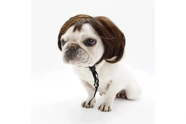 Pet Wig Cosplay Fashion Costume Wig for Pets